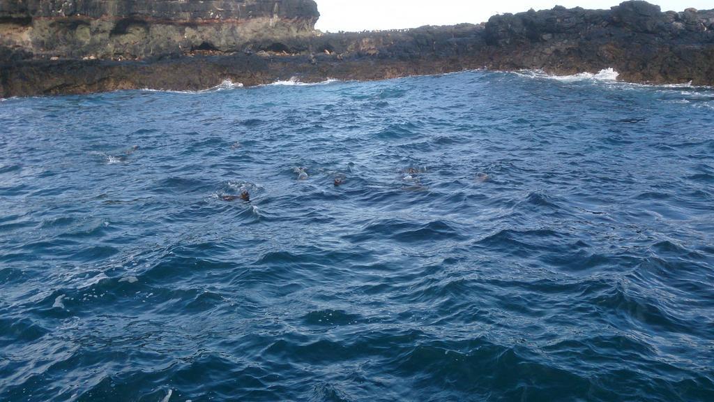 Phillip Island Cottages Cowes Ngoại thất bức ảnh