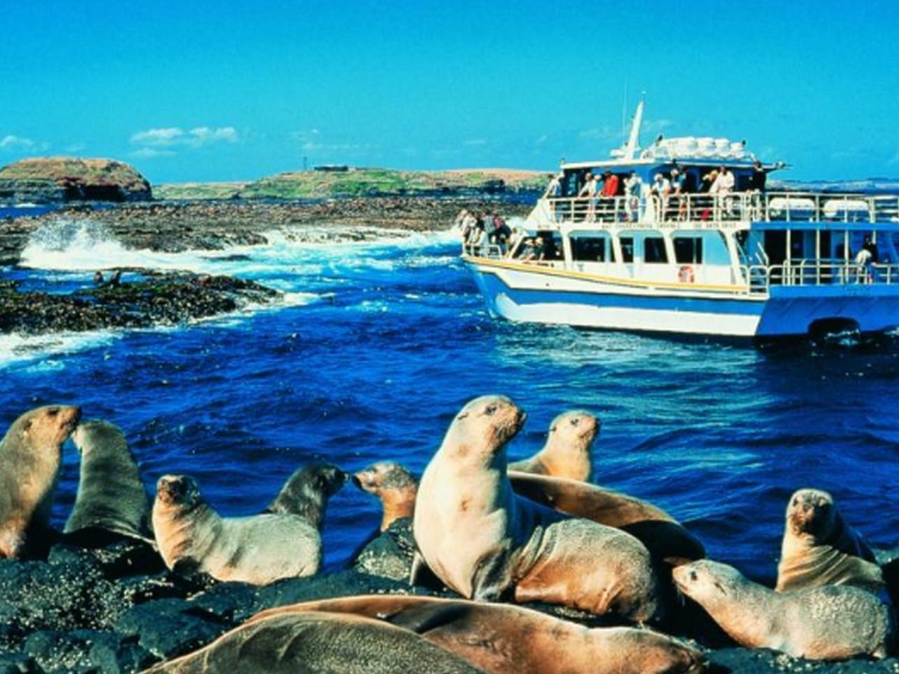Phillip Island Cottages Cowes Ngoại thất bức ảnh